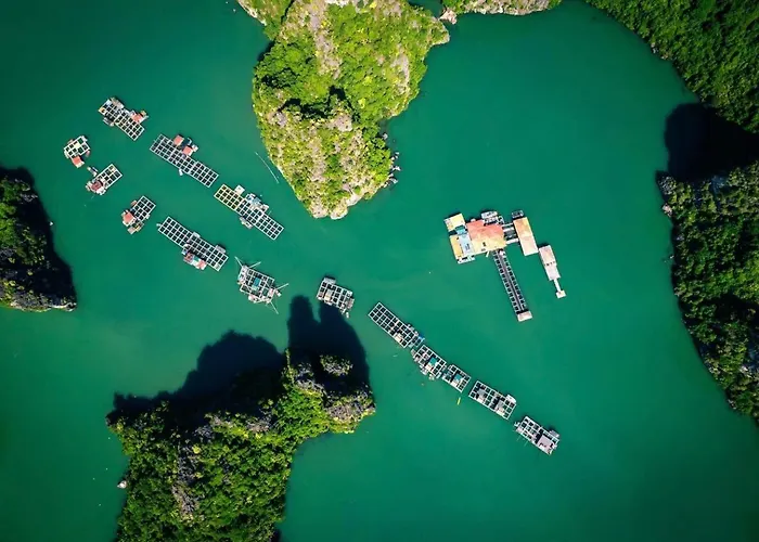 Celina Of The Sea Cruise Ha Long